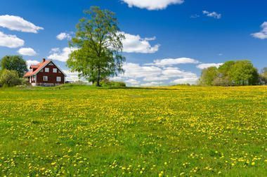 Hyra stuga i Katrineholm