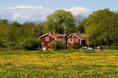 Hyra stuga Ramkvilla
