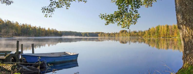 fiskesemester Sverige
