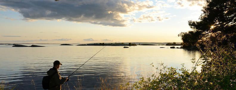 Njut av fiske och härliga solnedgångar på er semester i Sverige