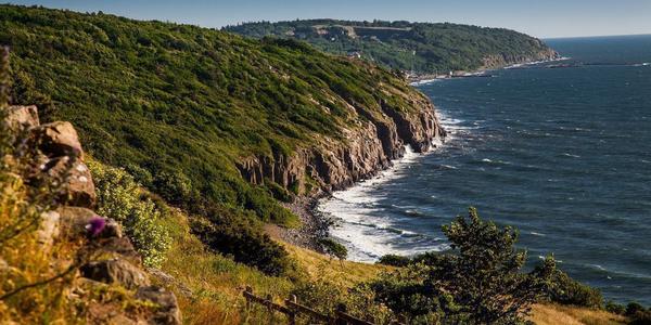 Dänemark Ferienwohnung